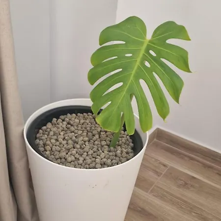 Апартаменты Heart *